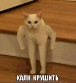 1664511597257.png