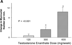 testosterone-enanthate-and-myonuclei-number.png