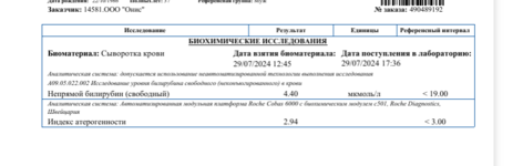 Screenshot 2024-12-24 at 19-16-41 490489192_ЕЛИСЕЕВ_ВИТАЛИЙ_1222000_1 - 490489192.PDF - Яндекс...png