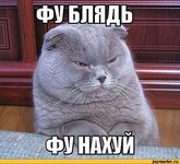 1000027455.jpg