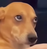 1738264869193.png