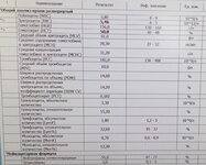 IMG_20250516_150647.jpg