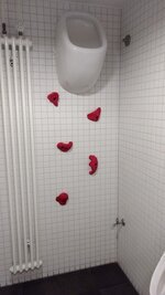 1000064437.jpg