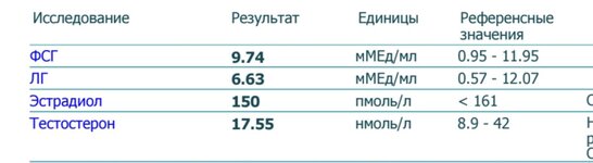 на3нт-к.jpg