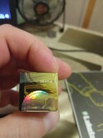 1000034238.jpg