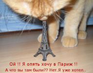 1750684851260.png