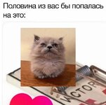 1751783243.jpg
