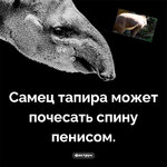1754313070823.jpeg