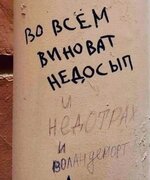 1000017748.jpg