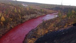 1000019815.jpg 1000019815.jpg