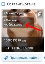1000033467.jpg