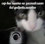 1000010516.jpg