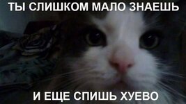 1000013663.jpg