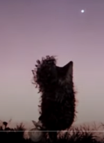 1780507207344.png
