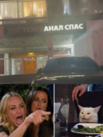1781344498523.png