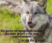 1782241609692.png