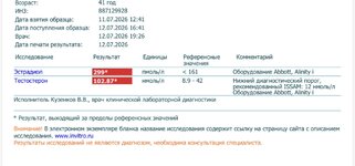 IMG_9239.jpeg