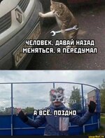 597.jpg