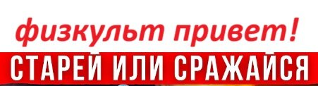 1785642782239.jpeg