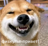 1785821313171.png