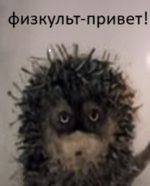 1786076303346.png