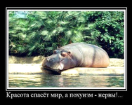 1786872099552.png