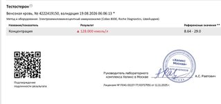 IMG_3946.jpeg