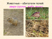 1792233710809.png