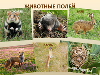 1792233743887.png