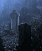 eff97e5e1d66836592746b8c8120f682.gif