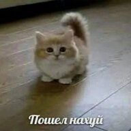 Денис Сергиенко