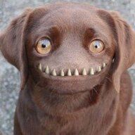 Дмитрий Юрьевич