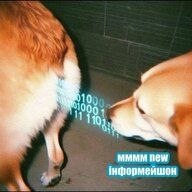 SutuliyDog