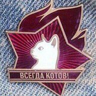 Kotov