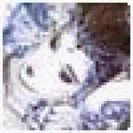 EvelynSlova
