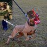 Vadim_BBC