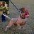 Vadim_BBC