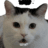 BarraBass