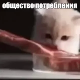 🥩
