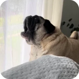 😱
