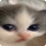 🥺
