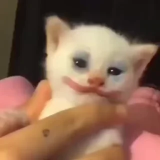 🤡