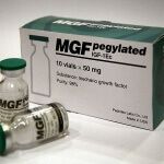 MGF (PEG-MGF, МГФ, Механический фактор роста)