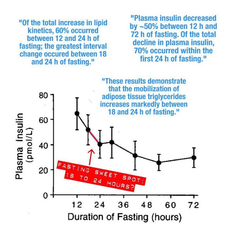 Наибольшее падение инсулина в плазме крови происходит в интервале 18-24 часа воздержания от пищи.
